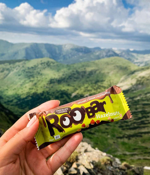 Organic hazelnut chocolate bar, Roo'bar